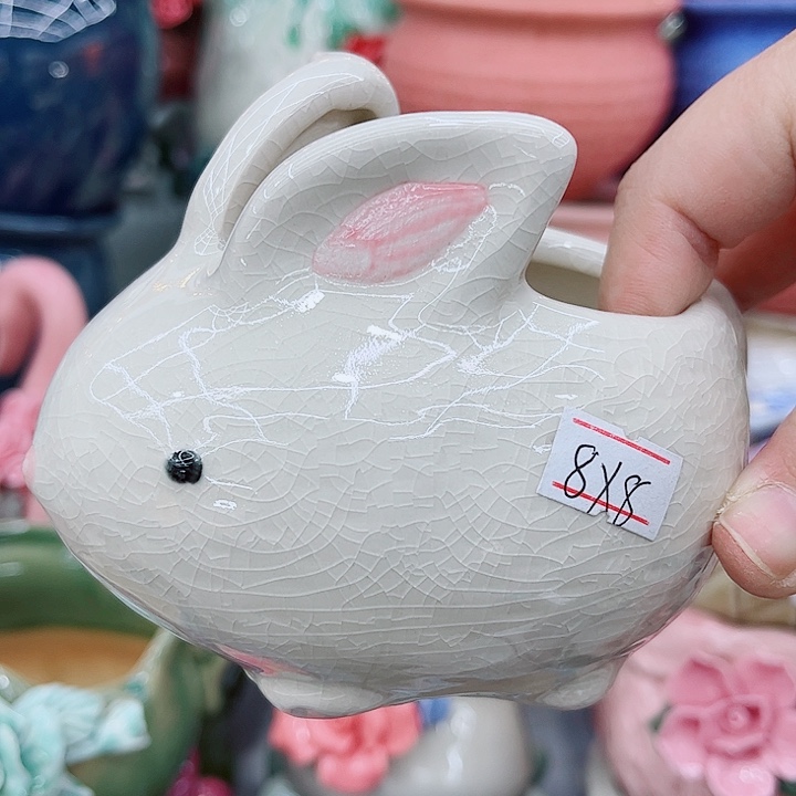 多肉植物陶瓷花盆