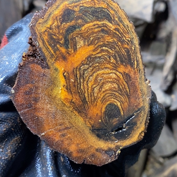 ෆ***酱贡木贡木手串原料直发