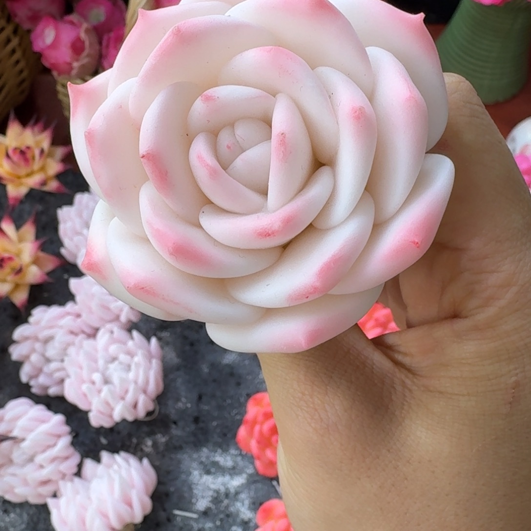 树脂351哦哦哦哦哦哦哦