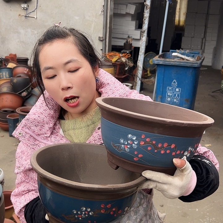 蓝富贵点菜大一对花盆花盆