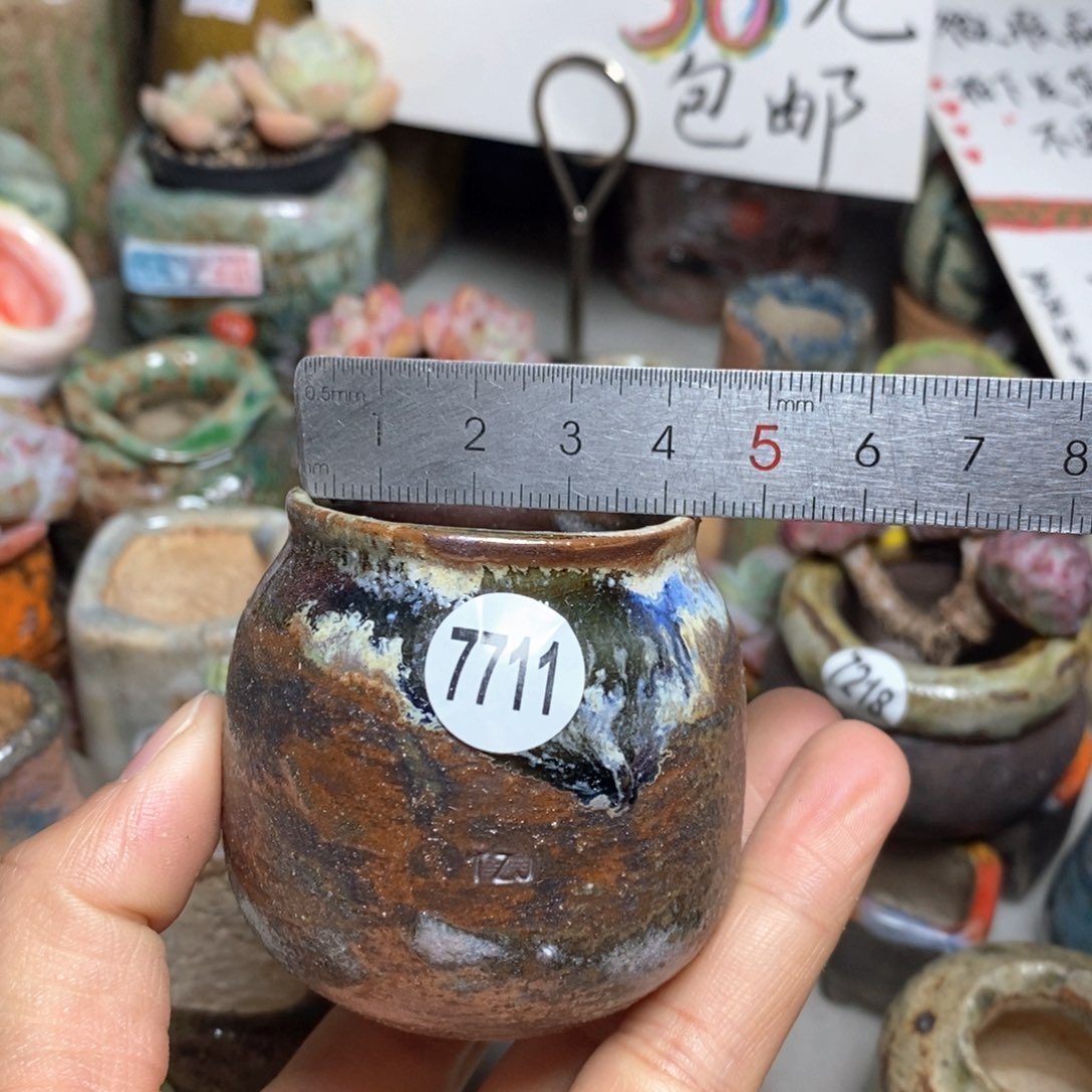 花盆拍5送一个小礼物