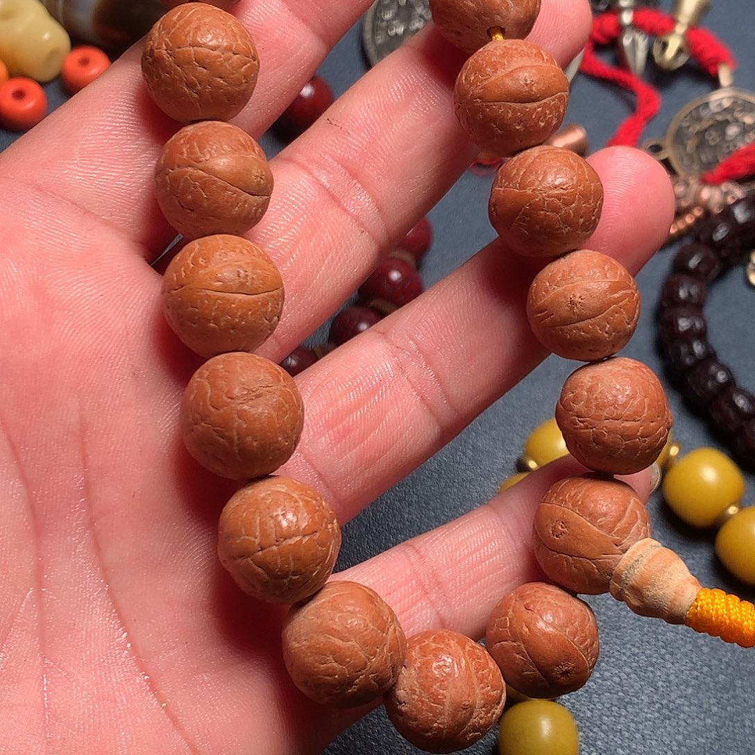 调***儿dhjklxbnmppppppcbnm