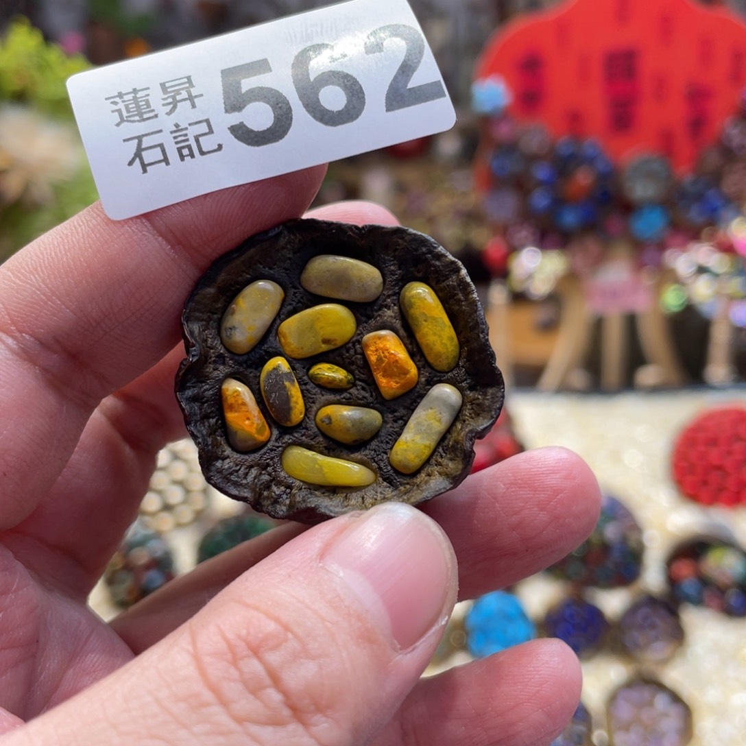 核桃木/黑胡桃（胡桃木）?*562