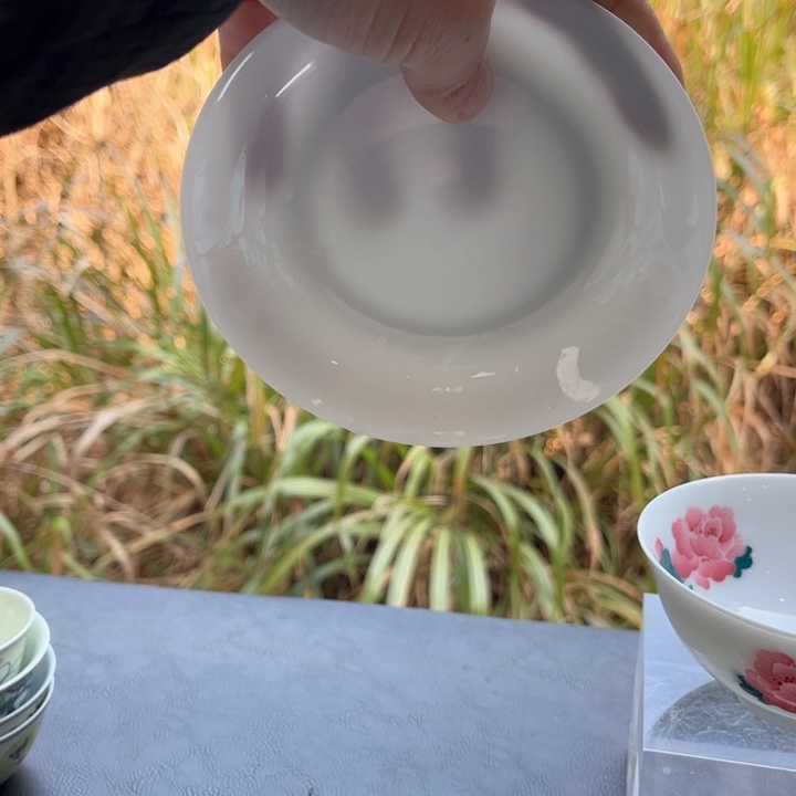 杯景德镇瓷器艺术品