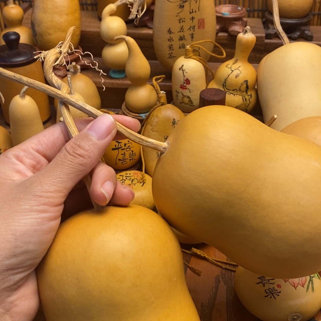 水***阳葫芦葫芦葫芦葫芦