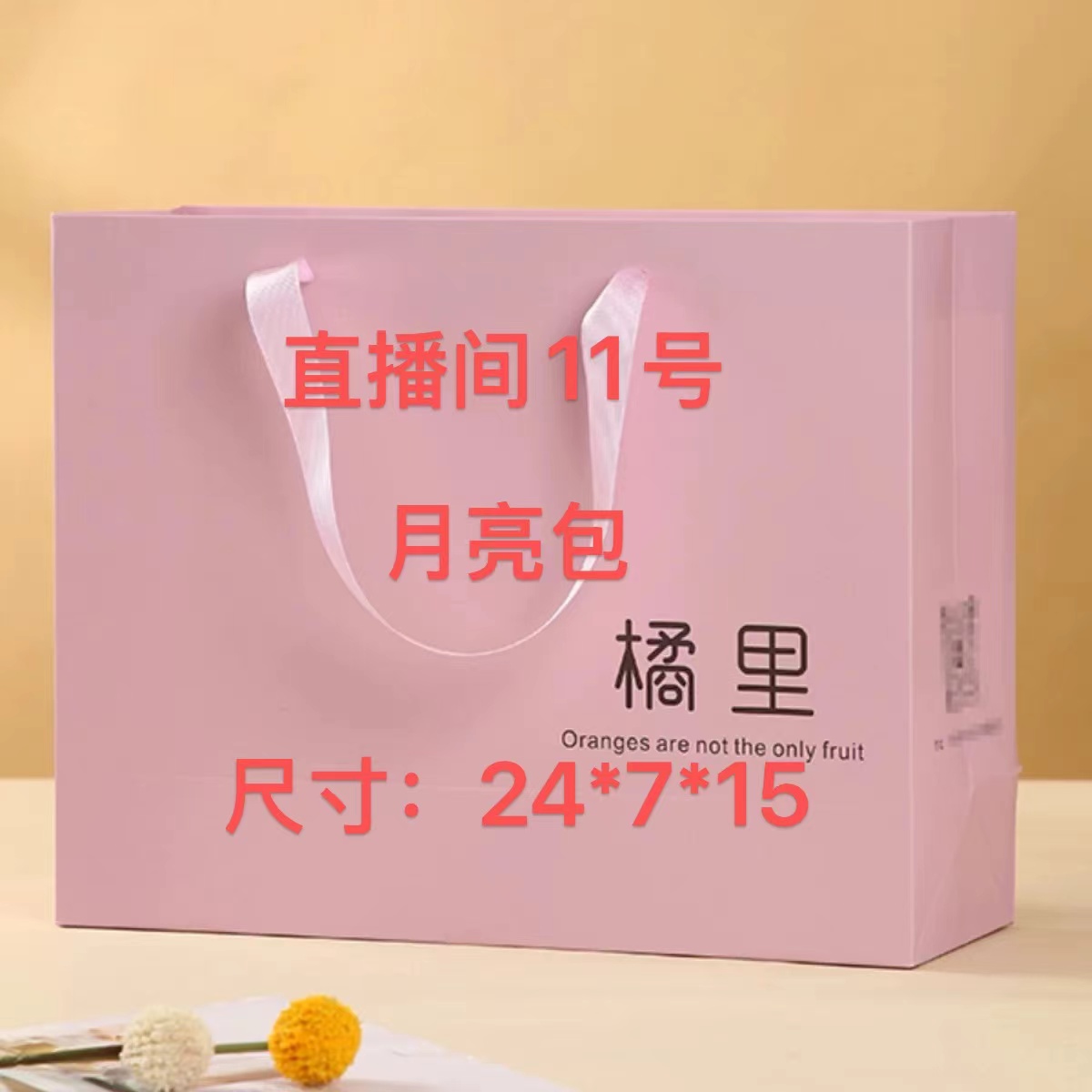 YA【11号】2025新款百搭时尚女包  月亮包