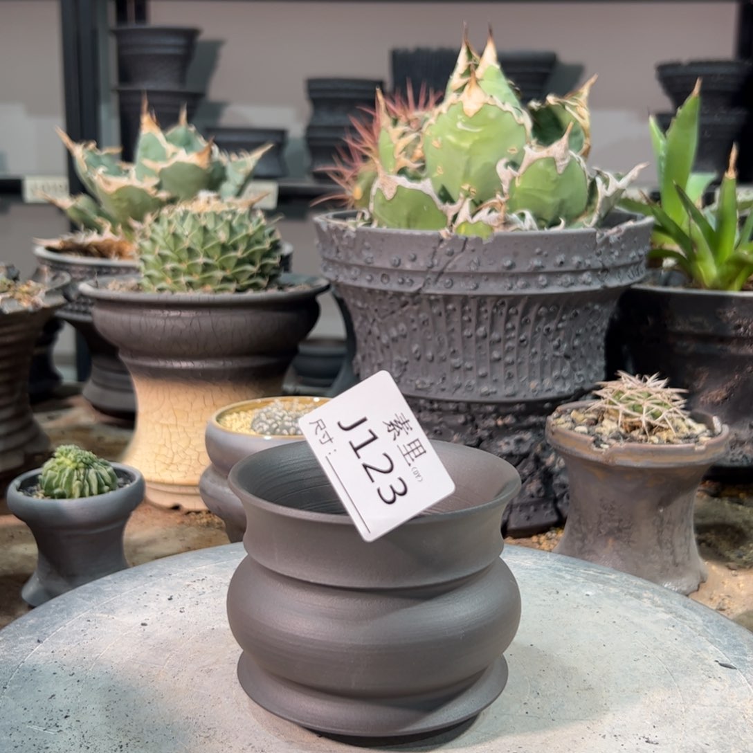 景德镇手工素里内口9.3高7.5