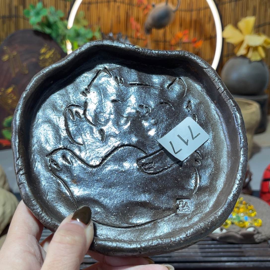 木村信弘柴烧保平