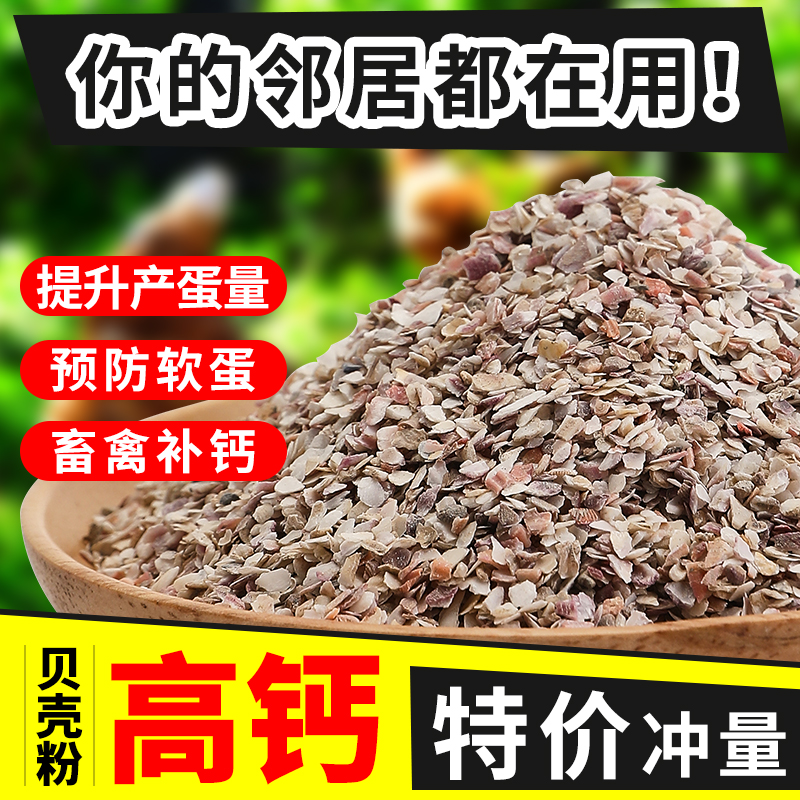 高钙贝壳粉鸡鸭鹅饲料鸽子畜禽补钙壮骨专用牡蛎粉预混料添加剂