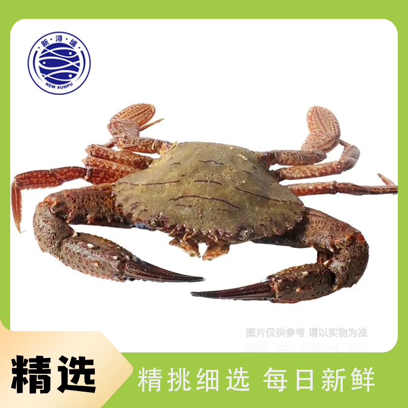 【活蟹打包】石蟹 2-3只 约500g±50g