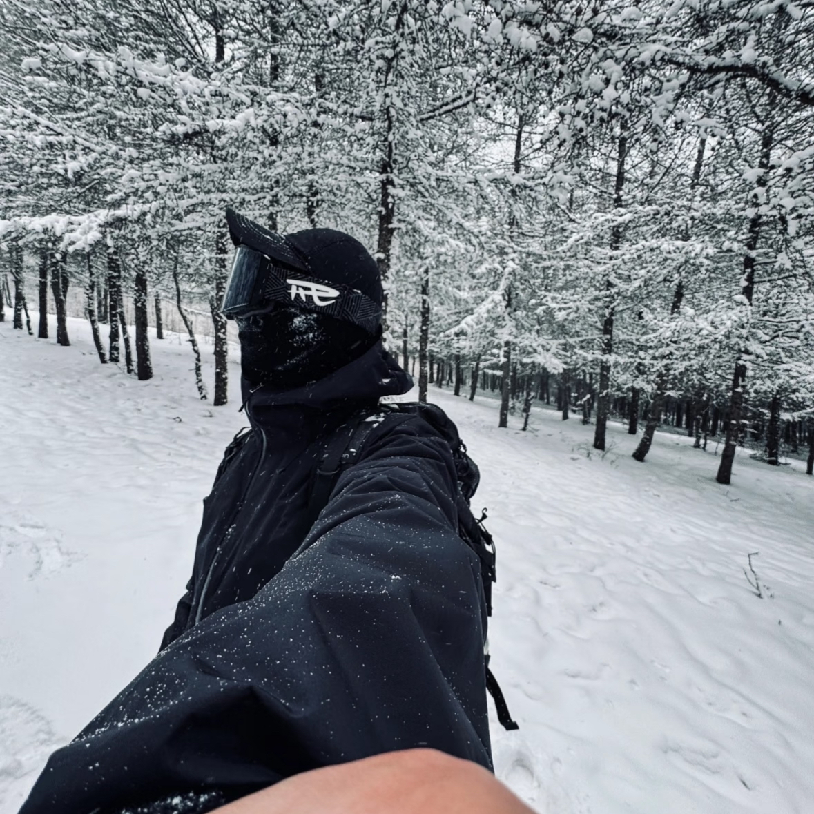 LT 三合一 XY(原滋原味)秋冬季户外三合一外壳内胆带拉链可拆卸