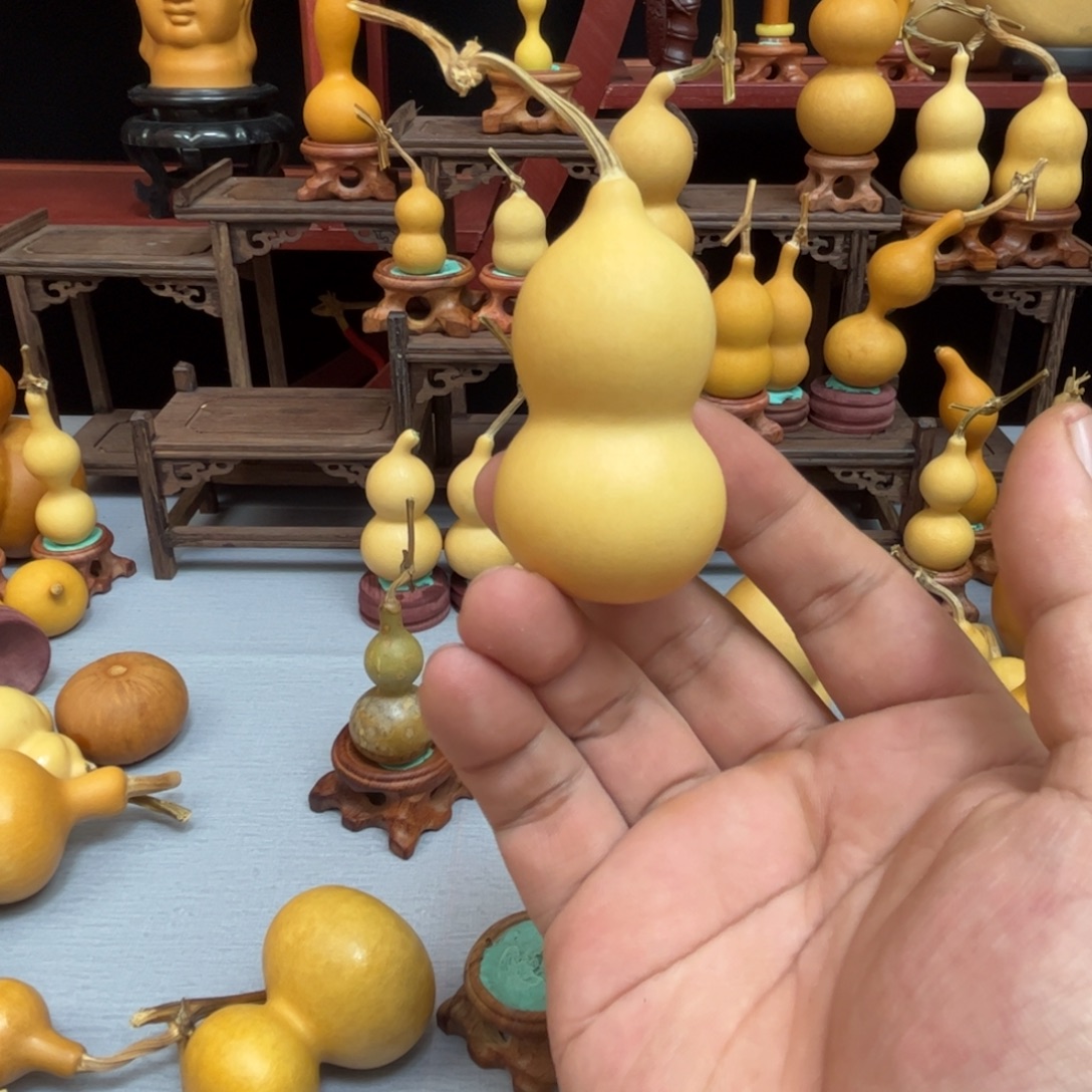 江***淌藤木我的小可爱，一点也不像个女孩