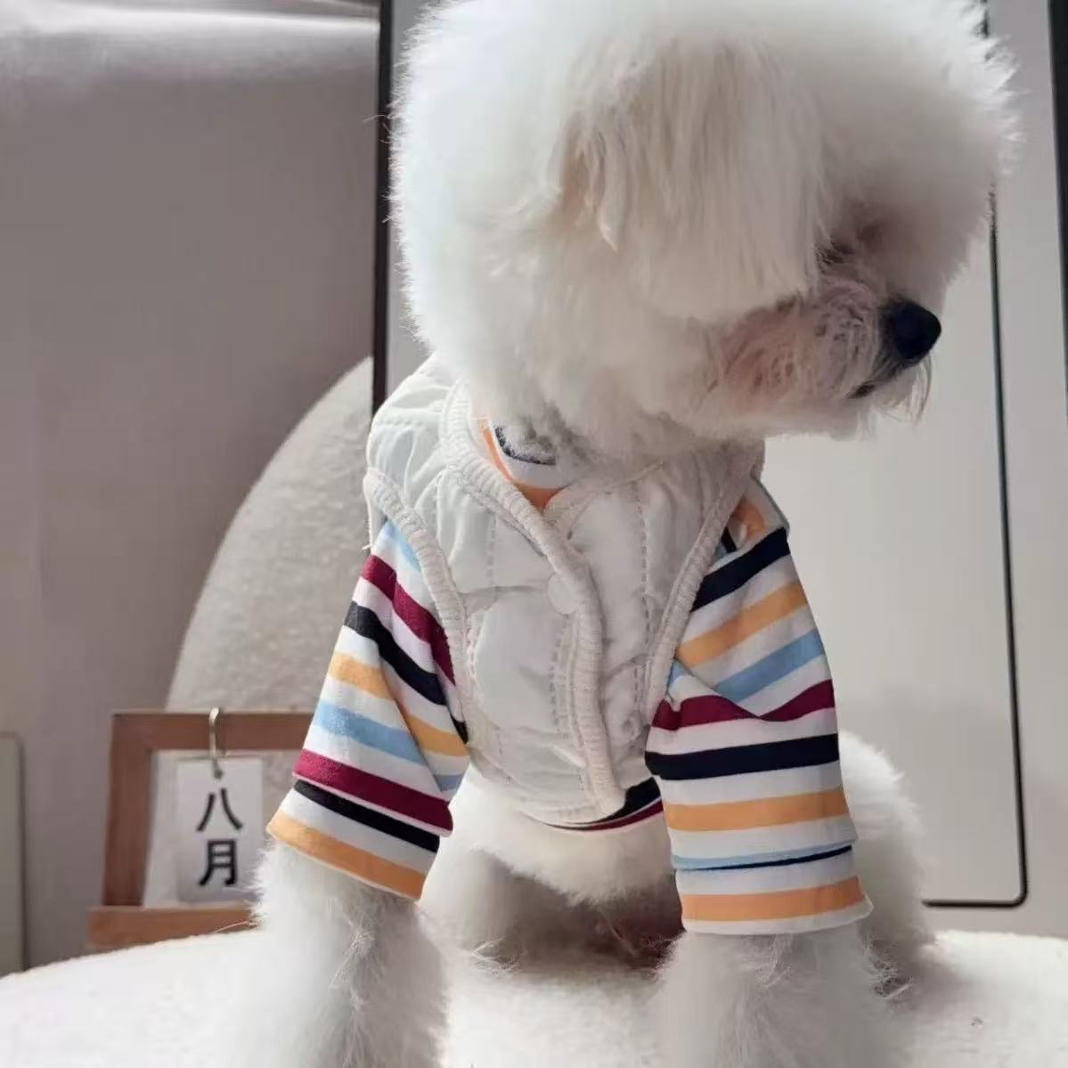 ins风秋冬季小狗狗小熊背心马甲打底衫两件套猫咪套装宠物狗衣服