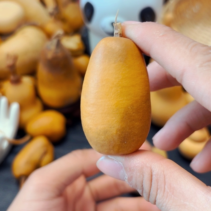 蛤**子888888888888888888