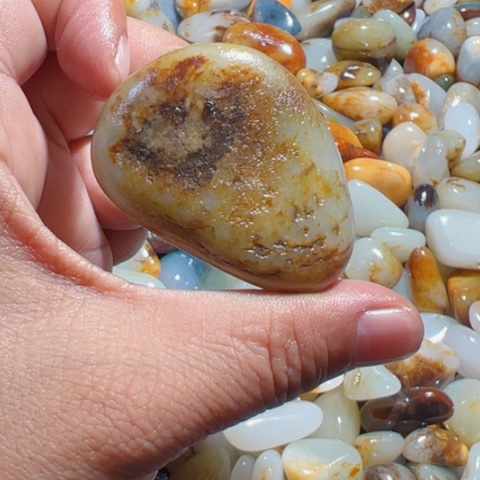 和田玉（糖玉）手链未镶嵌2