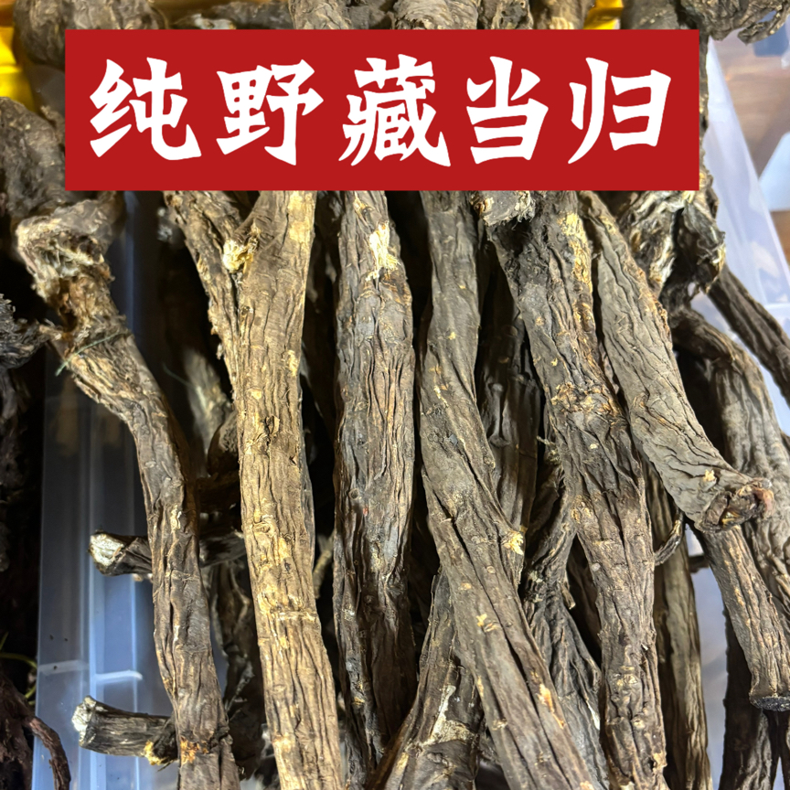 四川阿坝州小金县新桥乡农民自挖野生藏当归小根炖牛肉正宗炖羊肉