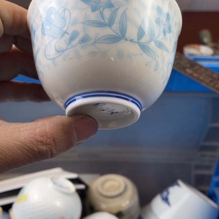 碟开播了开播了开播了