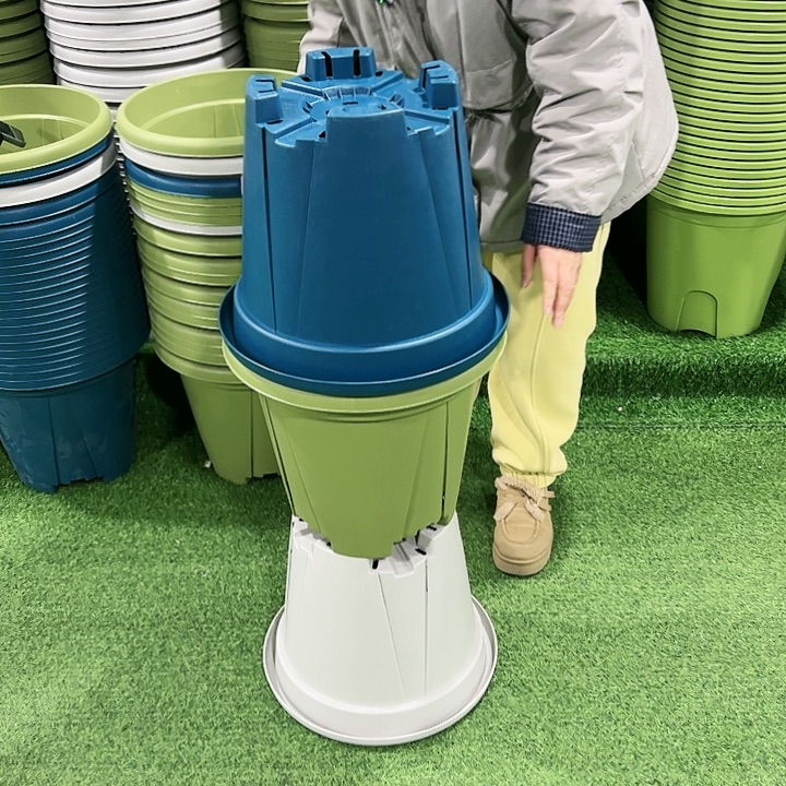 正品青山口40高35果绿色无托3只