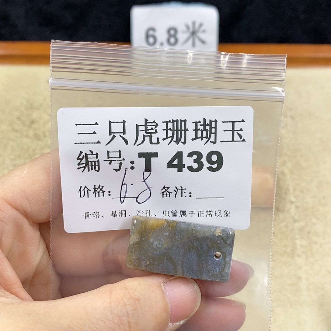 硅化珊瑚（珊瑚玉）1未镶嵌红***天