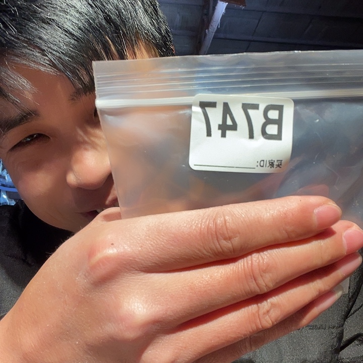 大果紫檀（缅甸花梨）747