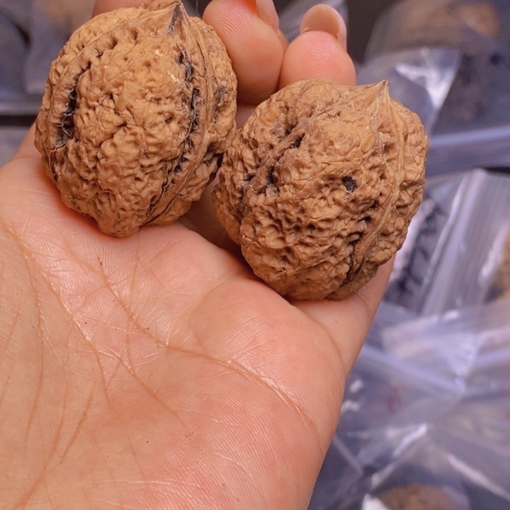 把件文玩核桃Y10-35mm