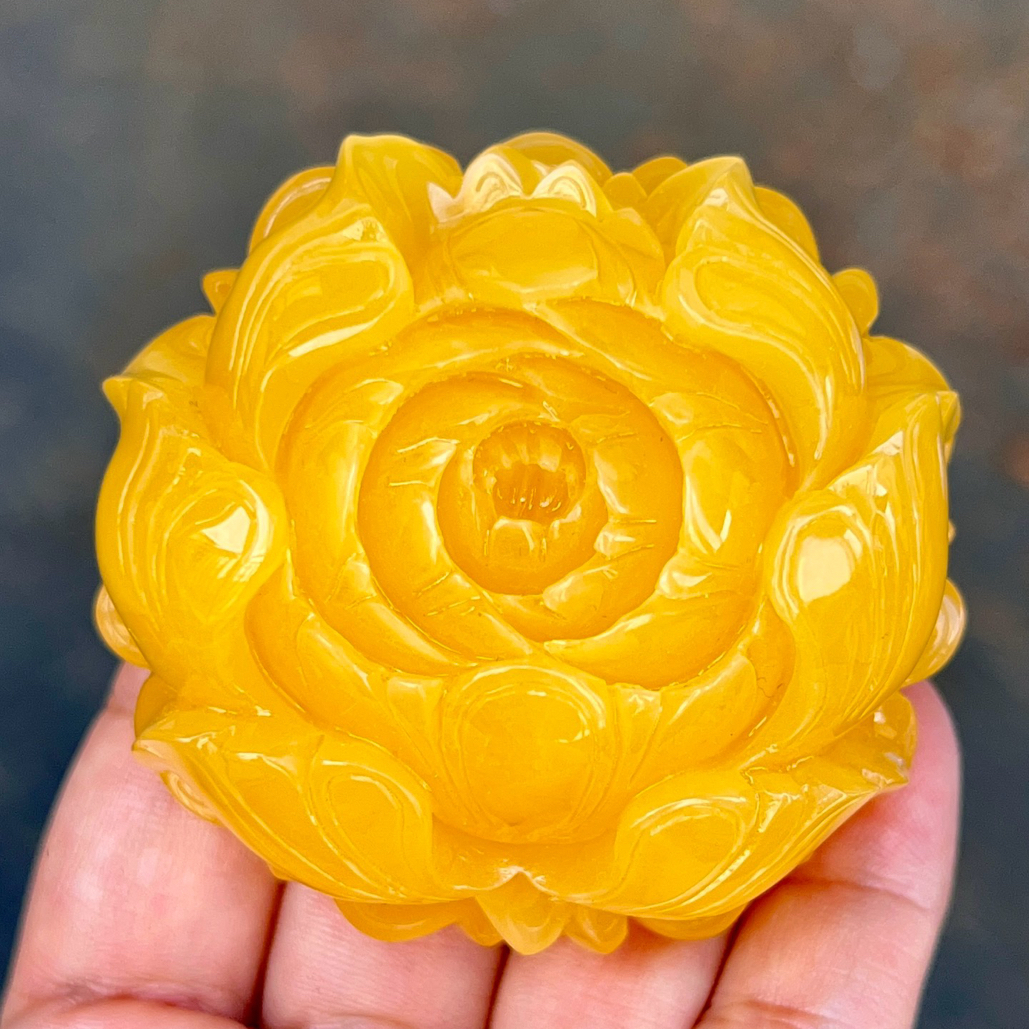 焦皮料鸡油红大牡丹花