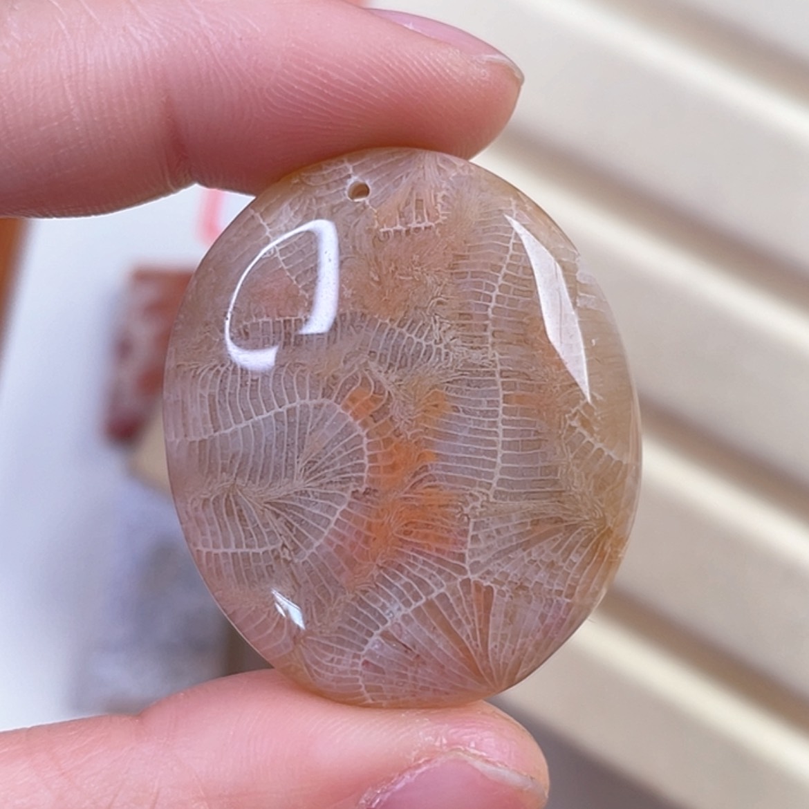 【闪购商品】硅化玉吊坠(赠链)未镶嵌