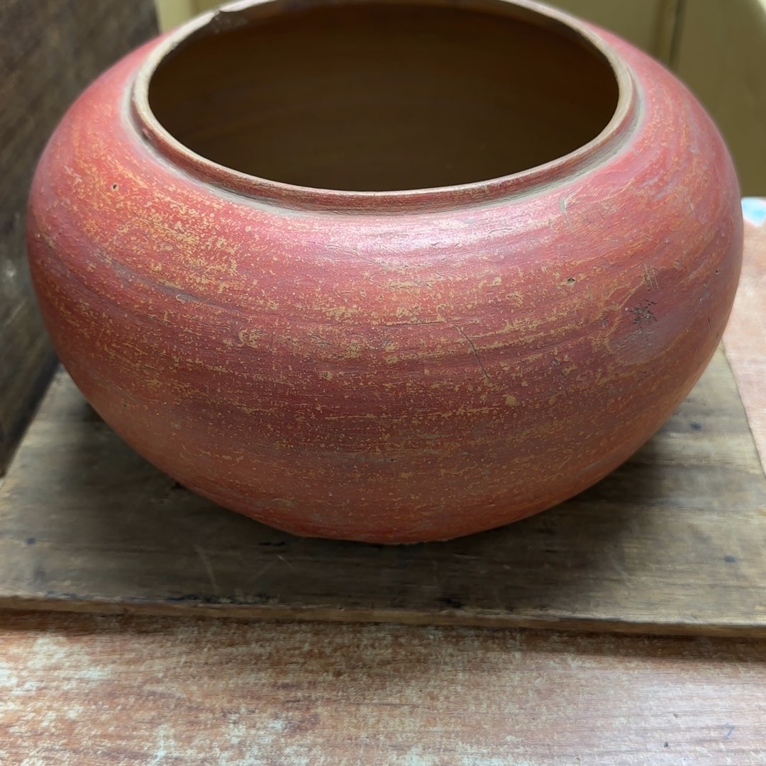 茶宠人类对生物体不信任