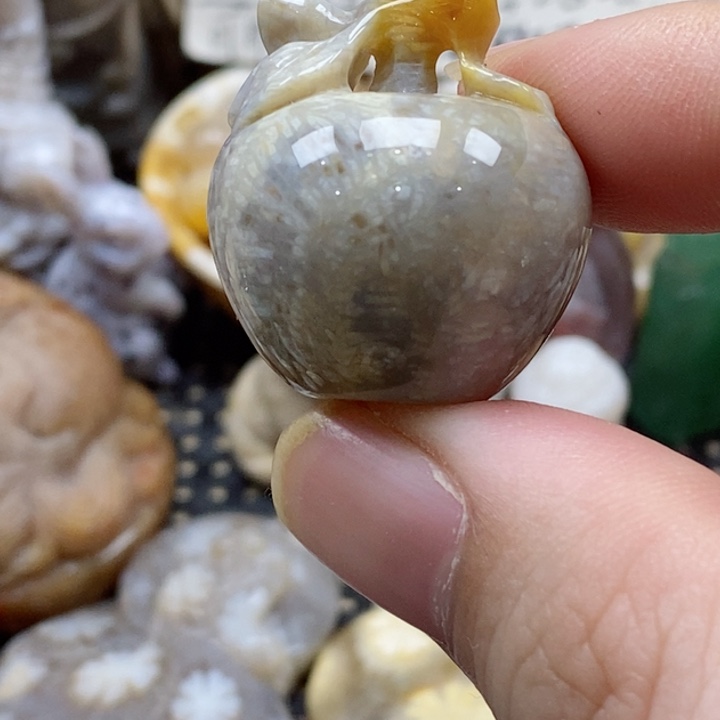 硅化珊瑚（珊瑚玉）颈饰未镶嵌