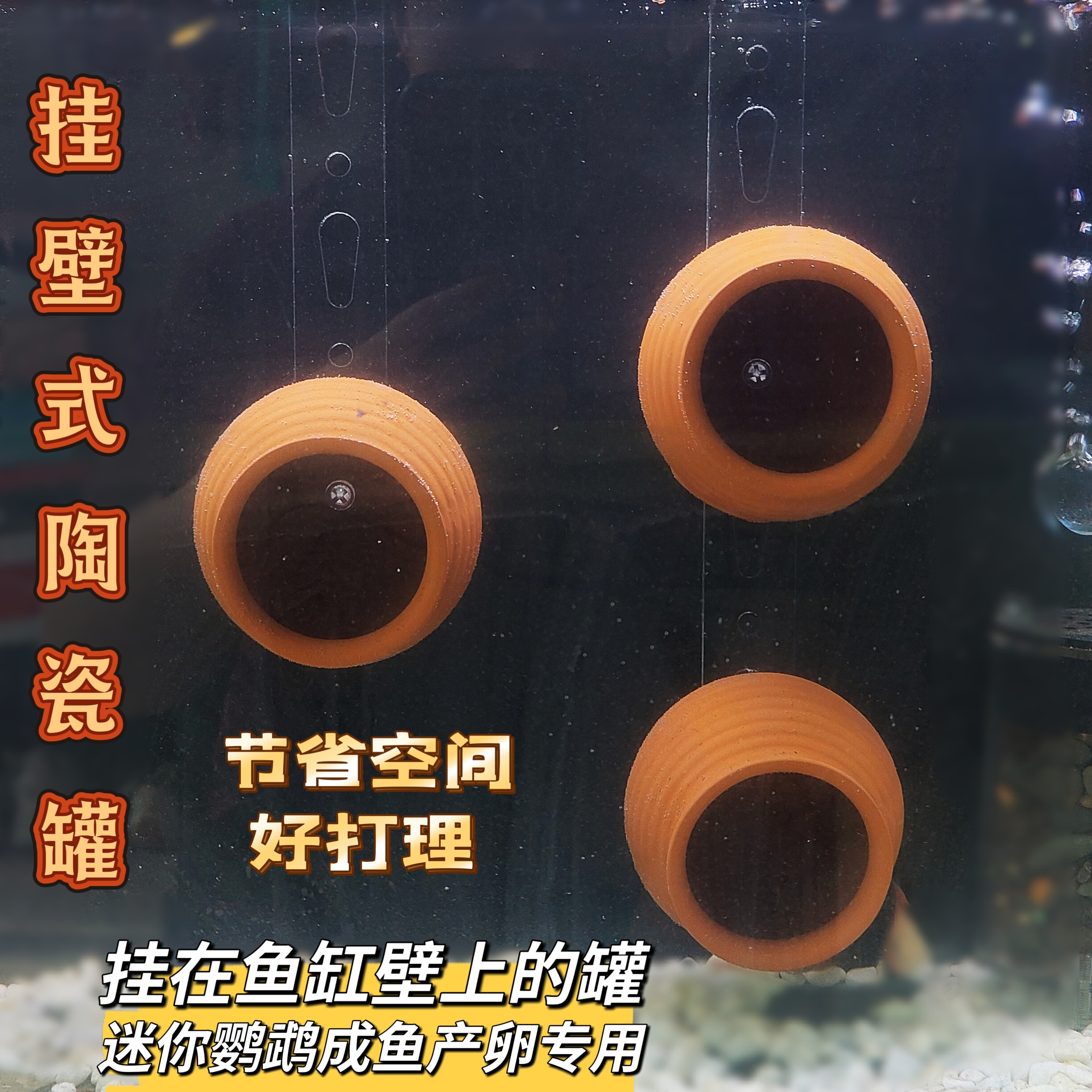 悬浮罐，悬空繁殖罐，迷你鹦鹉鱼必备繁殖神器