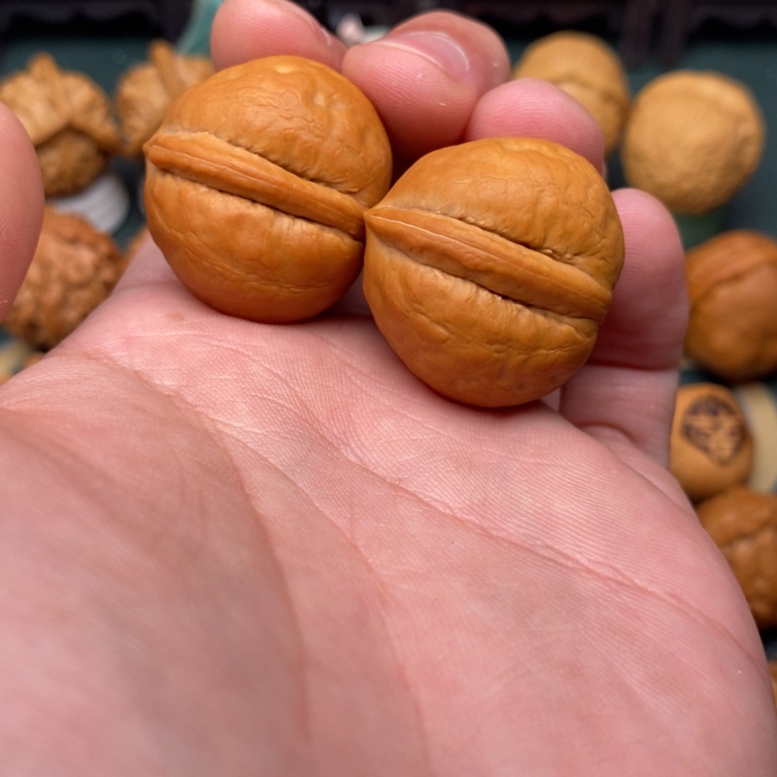 文玩核桃把件海豚