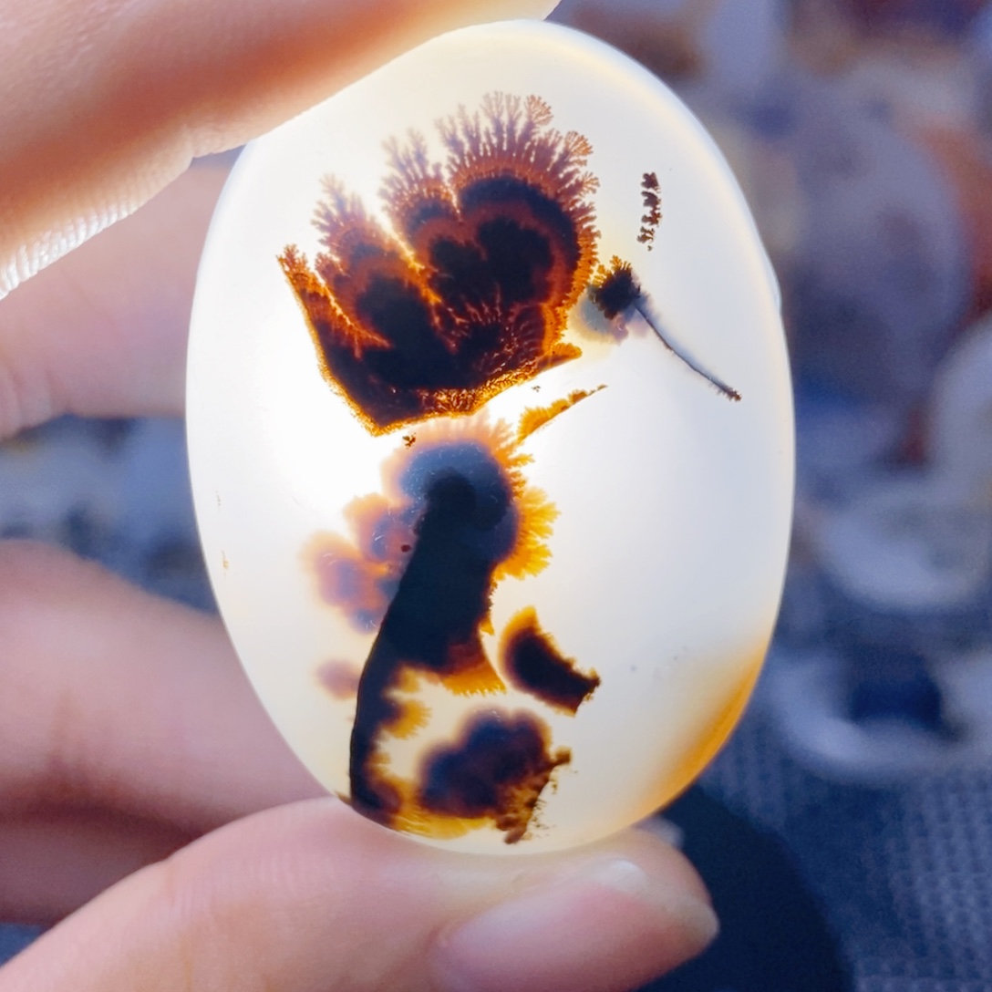 玛瑙/玉髓未镶嵌珠宝奇石