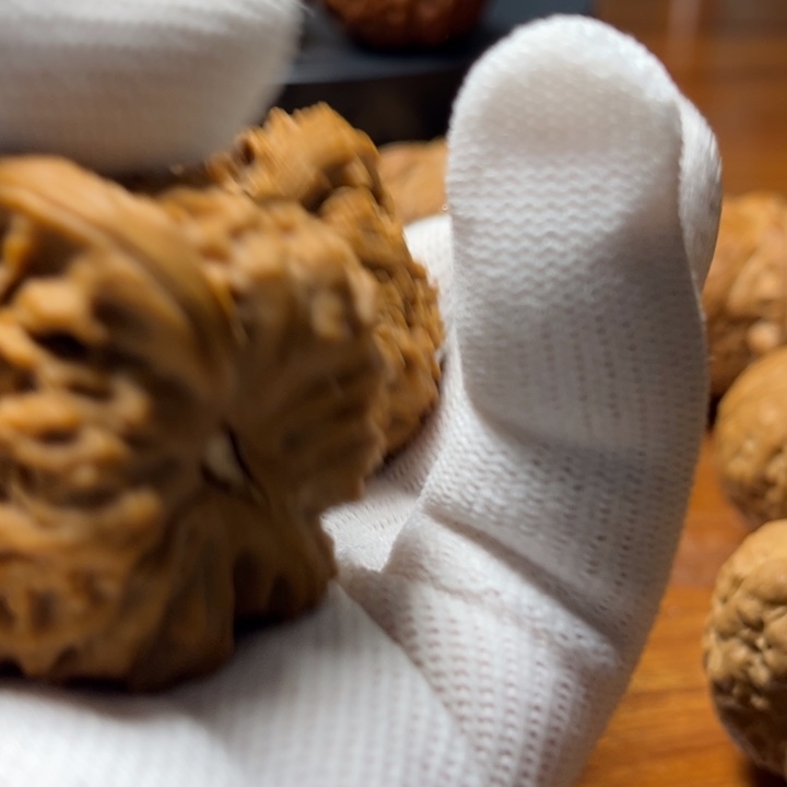 文玩核桃把件涿鹿老树南将石