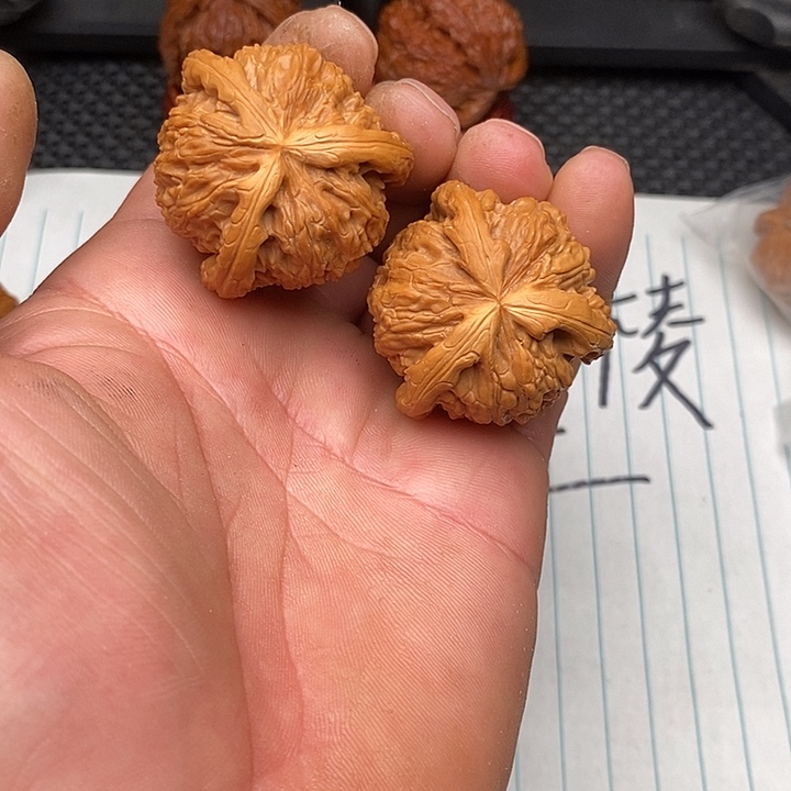 把件核桃拼接白狮子8