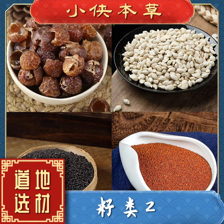 【小侠本草】各种籽类葶苈子王不留橘核无患子川楝子配决明子荔枝核