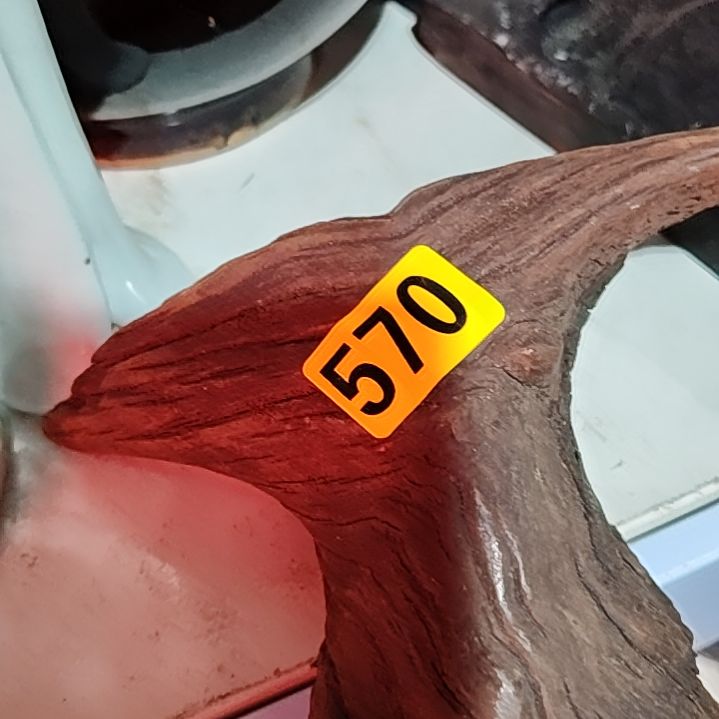 元***鄧民俗文化研究中心