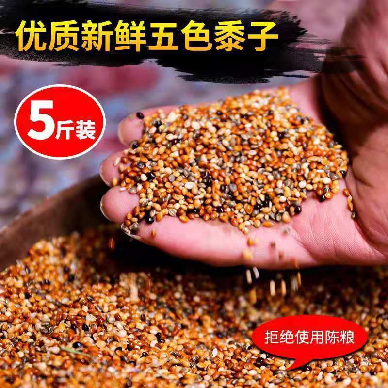 鹦鹉饲料混合五色黍子虎皮鹦鹉鸟食饲料玄凤黄谷子牡丹带壳
