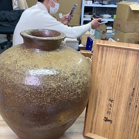 紫砂哈哈哈哈哈就哈哈哈