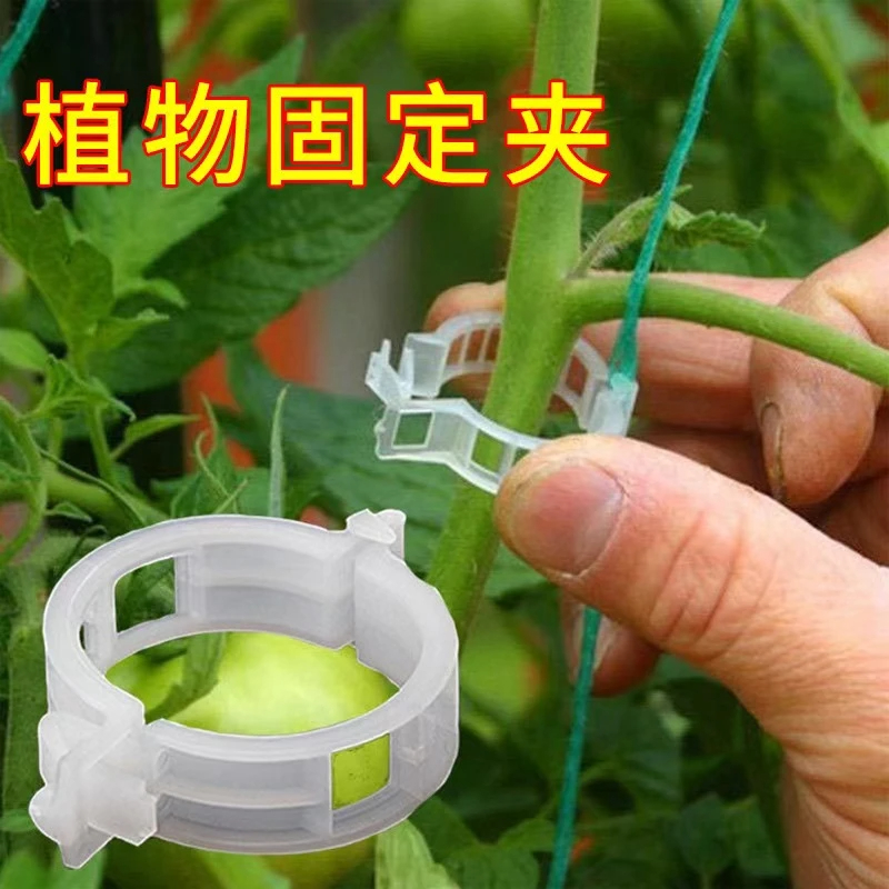 【100个装】扶蔓夹绑蔓夹绿植夹园艺用品藤蔓固定夹辣椒茄子固定器