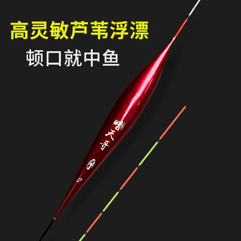 晴天哥栆核形芦苇浮漂醒目高灵敏底钓钓鱼加粗尾浮漂醒目