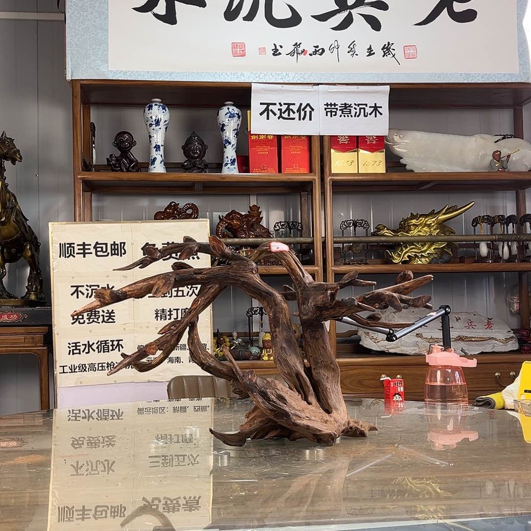 紫砂紫柚木知***？一木成景