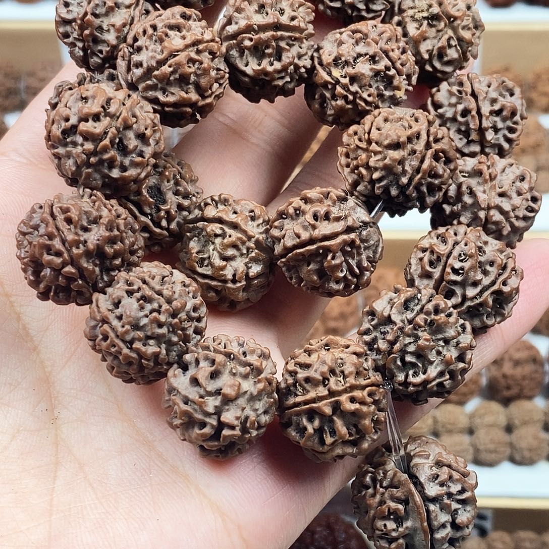 手串金刚菩提精品6瓣红皮铁籽手把件