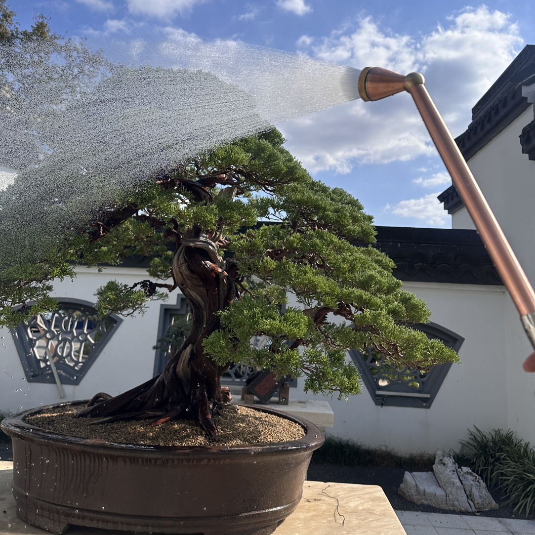 紫铜园艺花洒浇花1260目1580目1980目