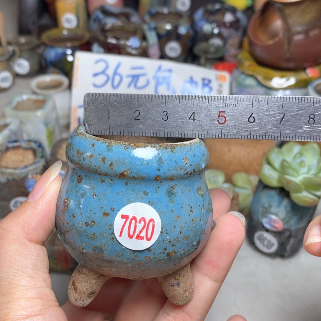 拍三送一9.9拍5送一送同款