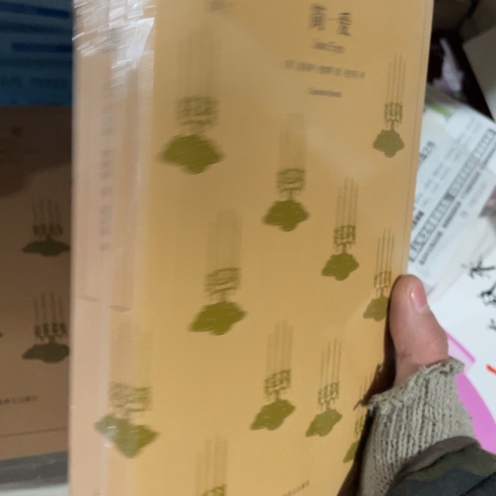 简爱正版塑封书籍