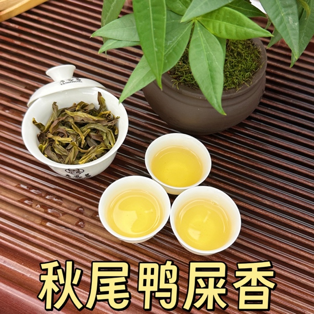 【秋尾鸭屎香】凤凰单丛~清甜高香  250g