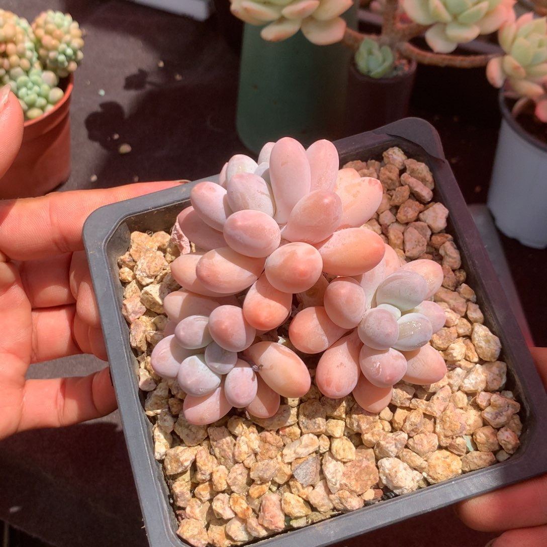 清楚明白你自己要干什么工作