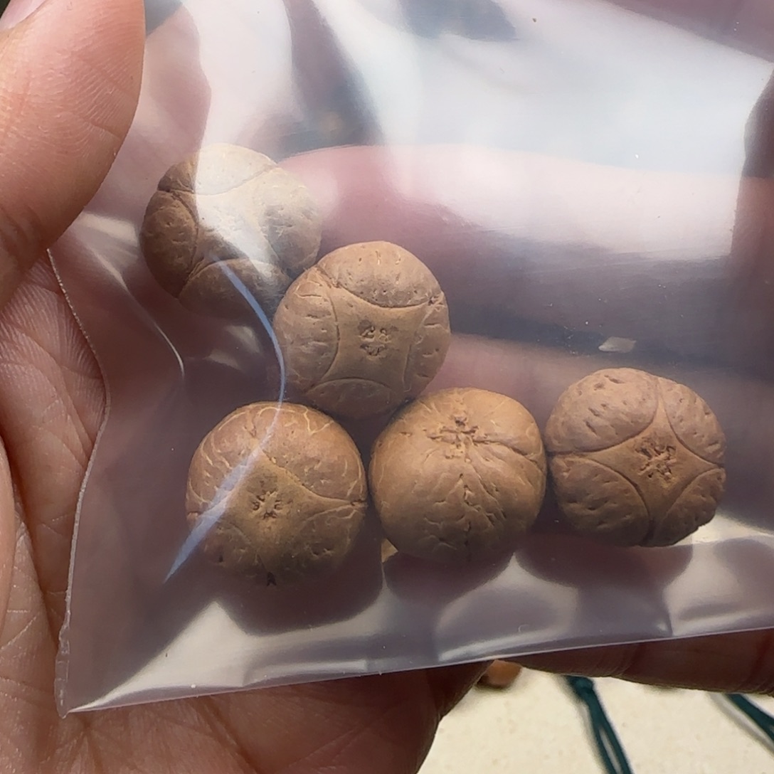 凤眼菩提吊坠麒麟15号