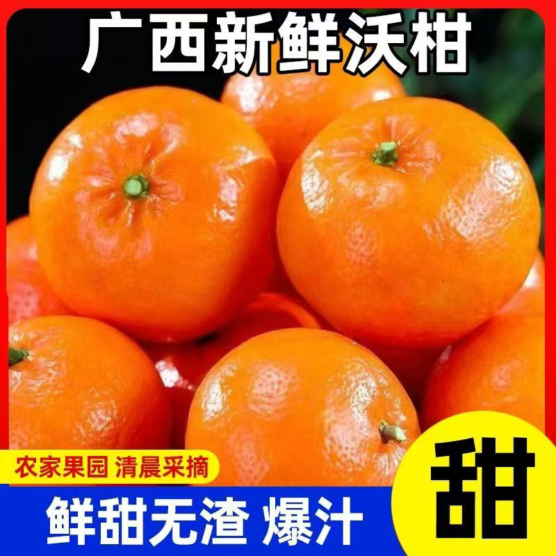 【广西武鸣沃柑】新鲜应季柑橘水果现摘现发皮薄多汁坏果包赔P
