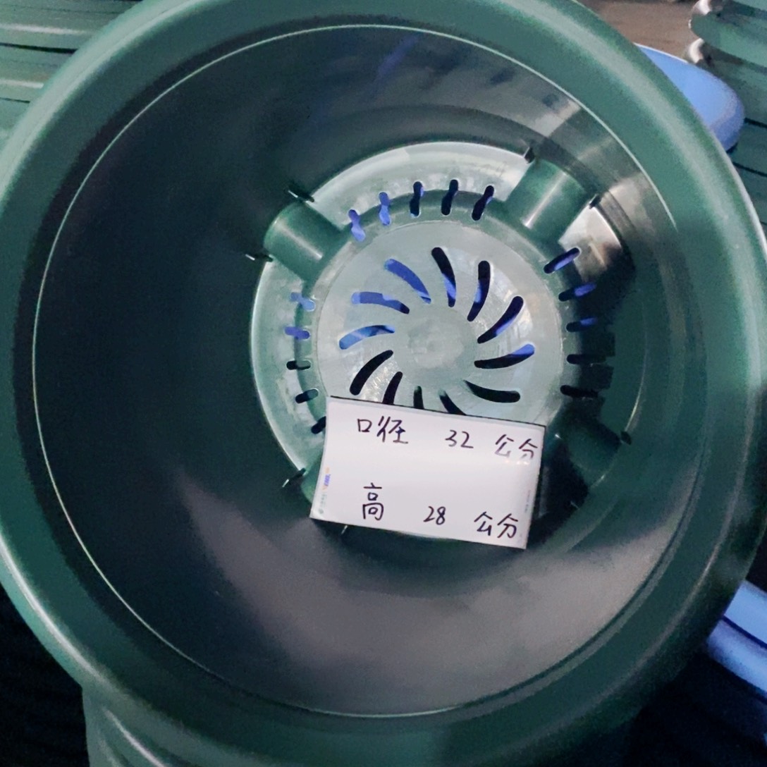 特价6号7个无拖祖母绿